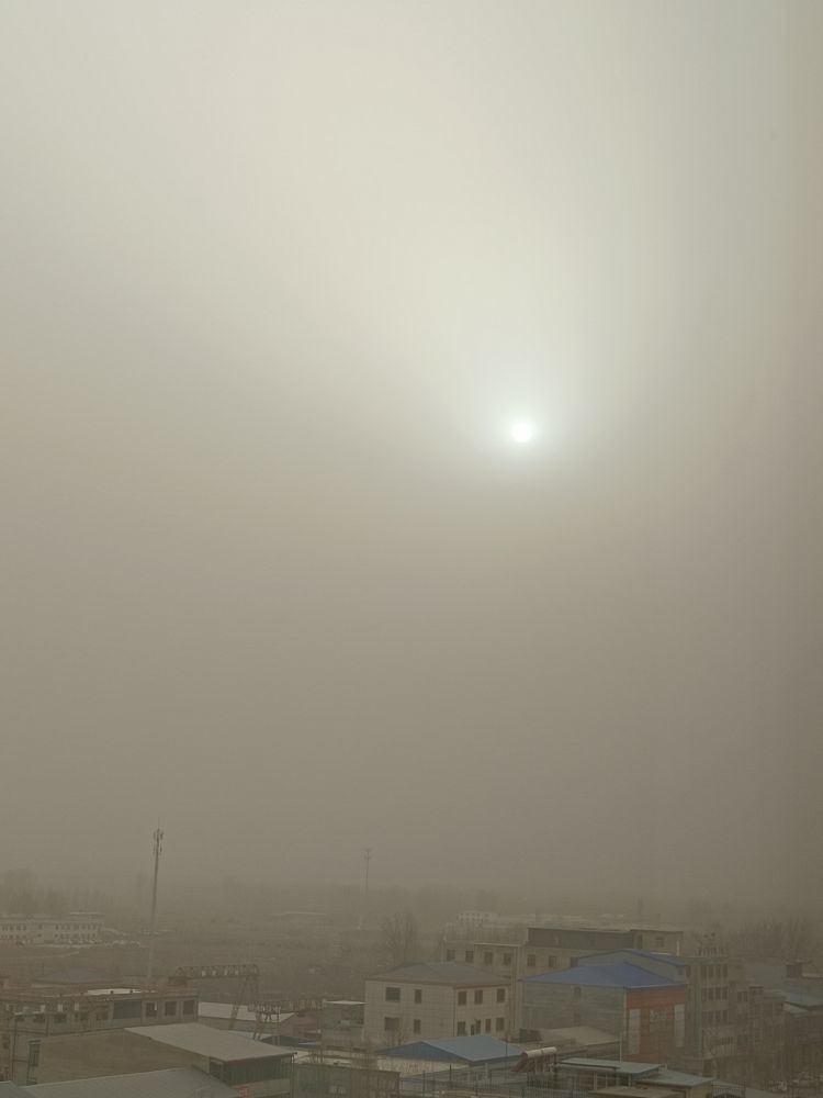 金麒麟好运连连🎵主播图片