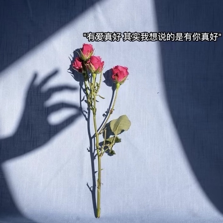 雨神宝宝👑主播图片