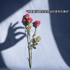 雨神宝宝👑的图片