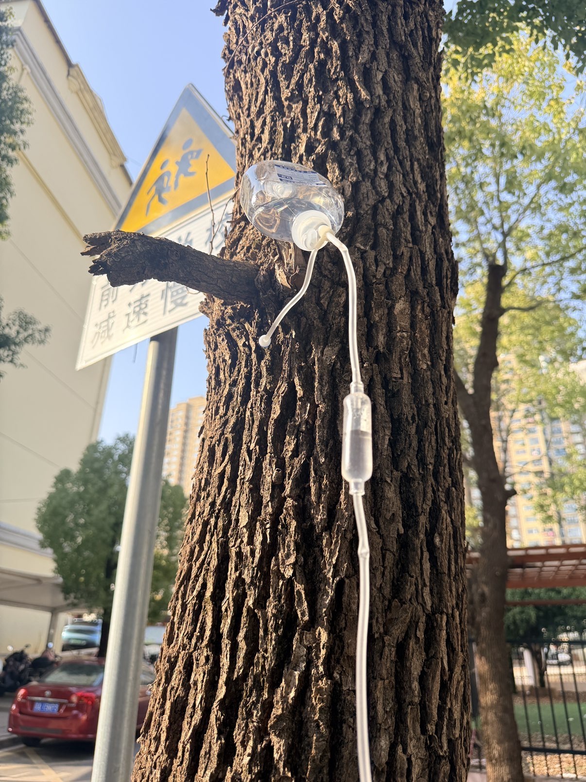 哆啦??的主播照片