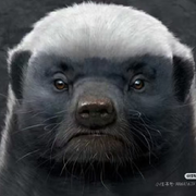 一百减一等于零💖