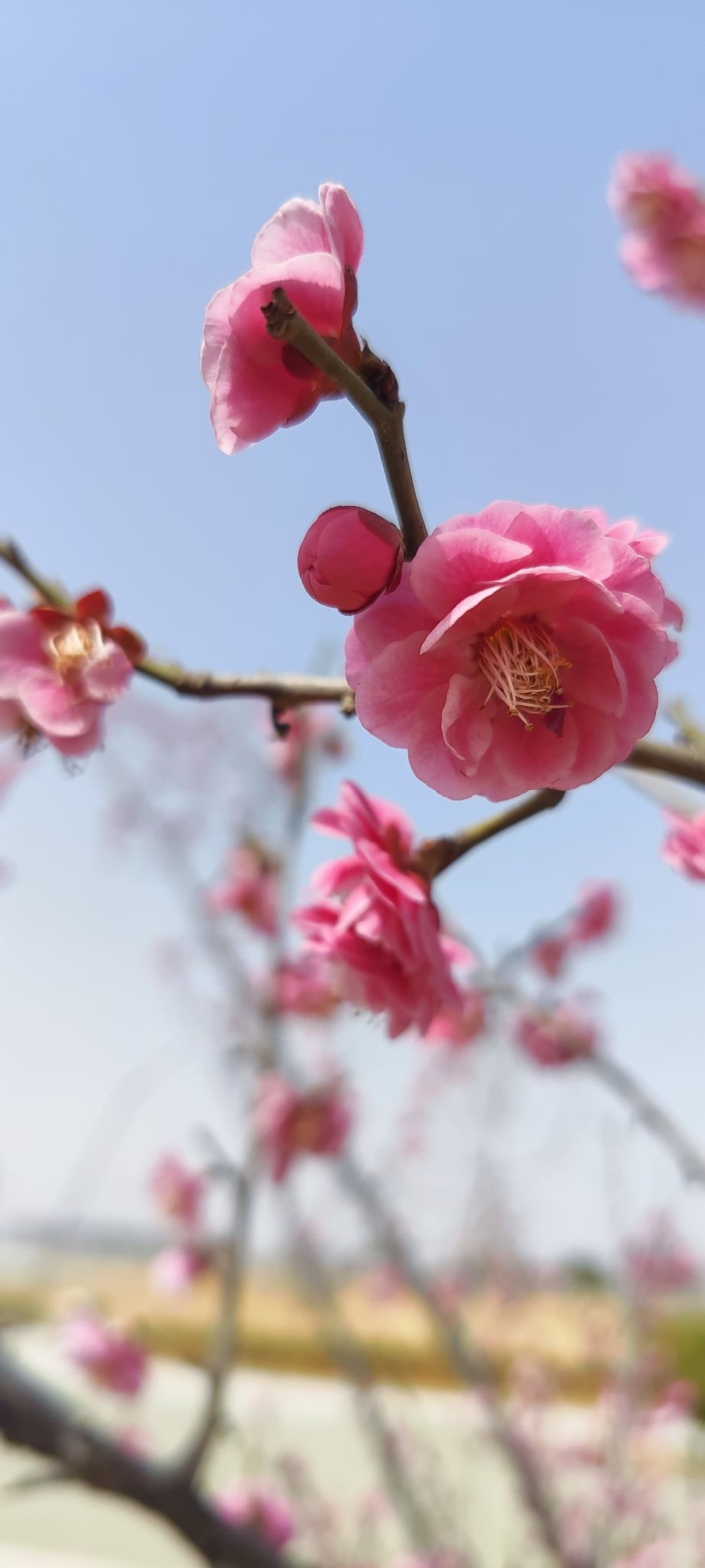 婷婷💕感恩有你陪伴主播图片