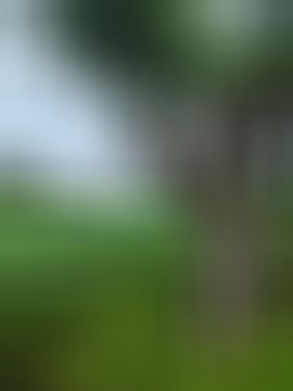 晴儿祝大家新年快乐！主播照片