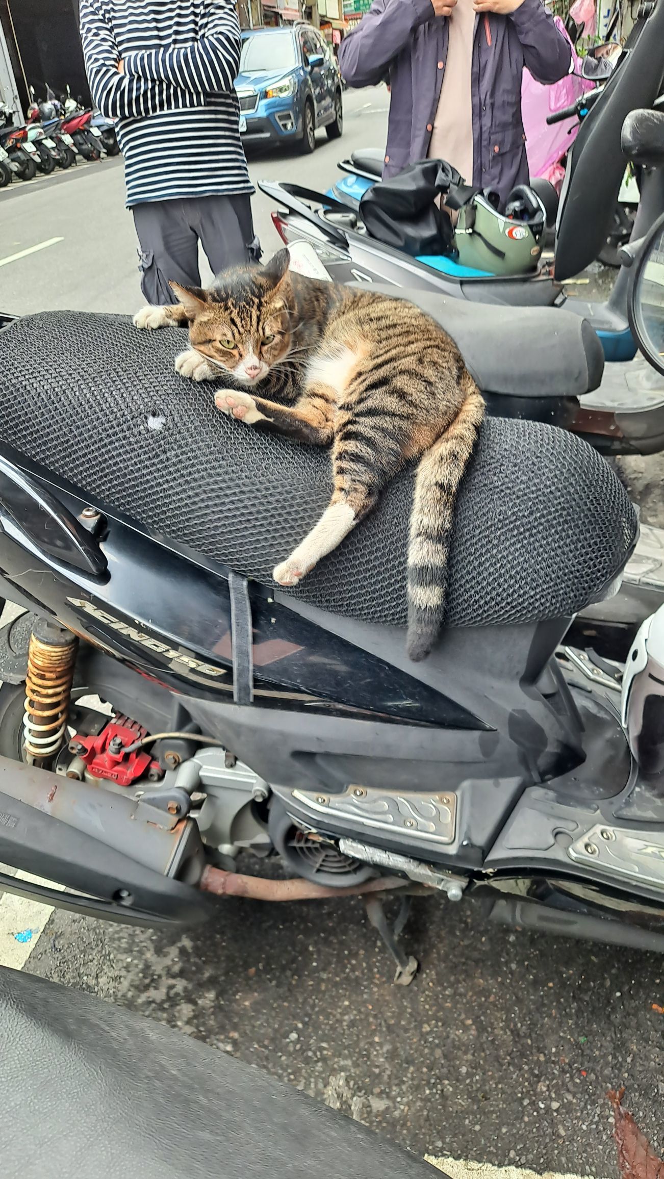 一只楚楚熊☆主播圖片