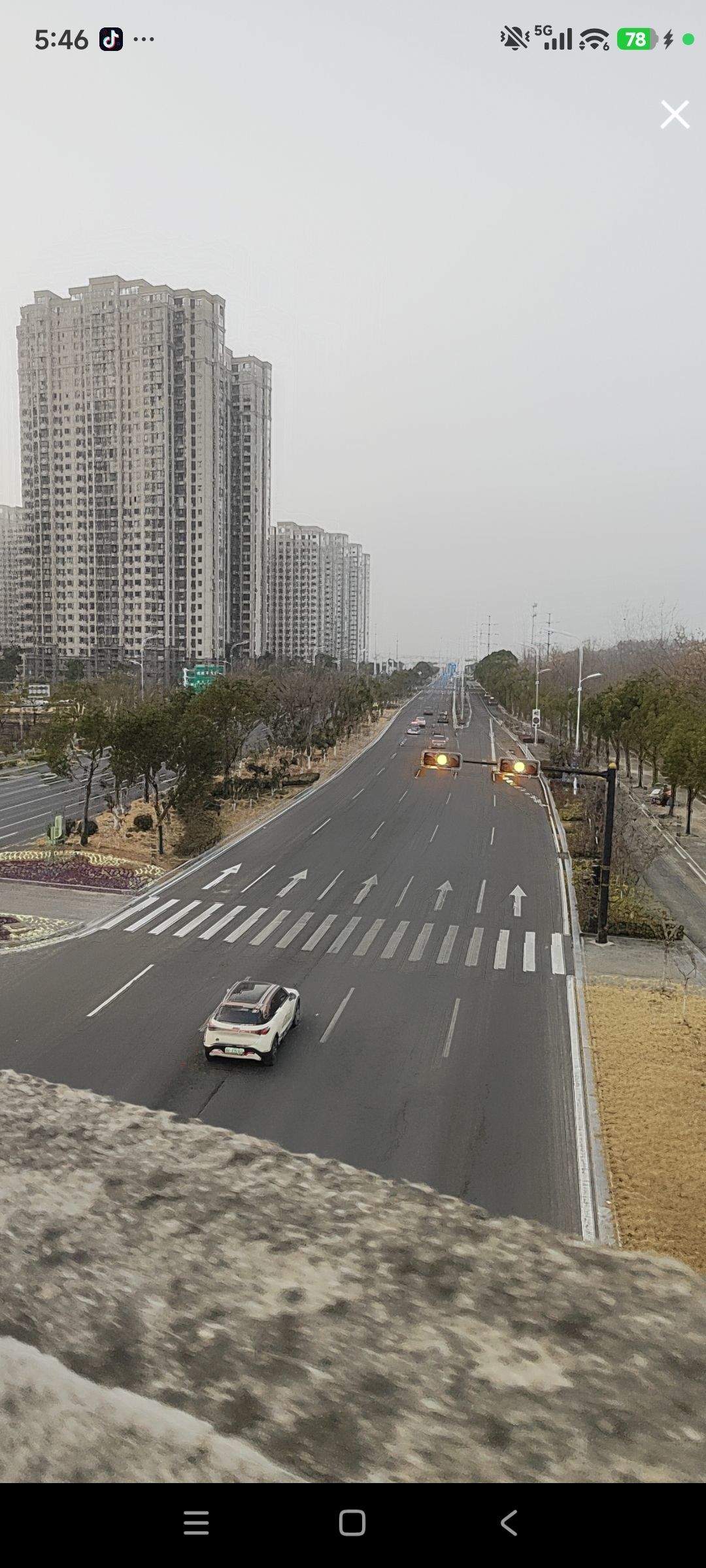 婷婷💕感恩有你陪伴主播图片