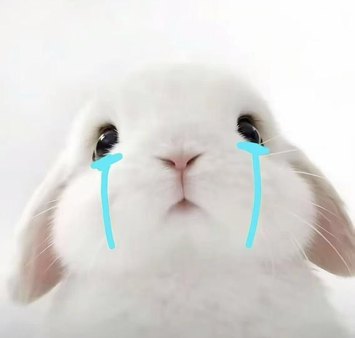 潔兒寶寶呀～主播圖片