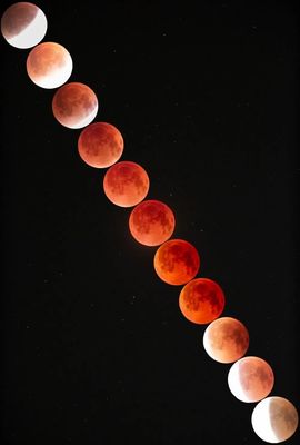 为你穿越1000英里的图片