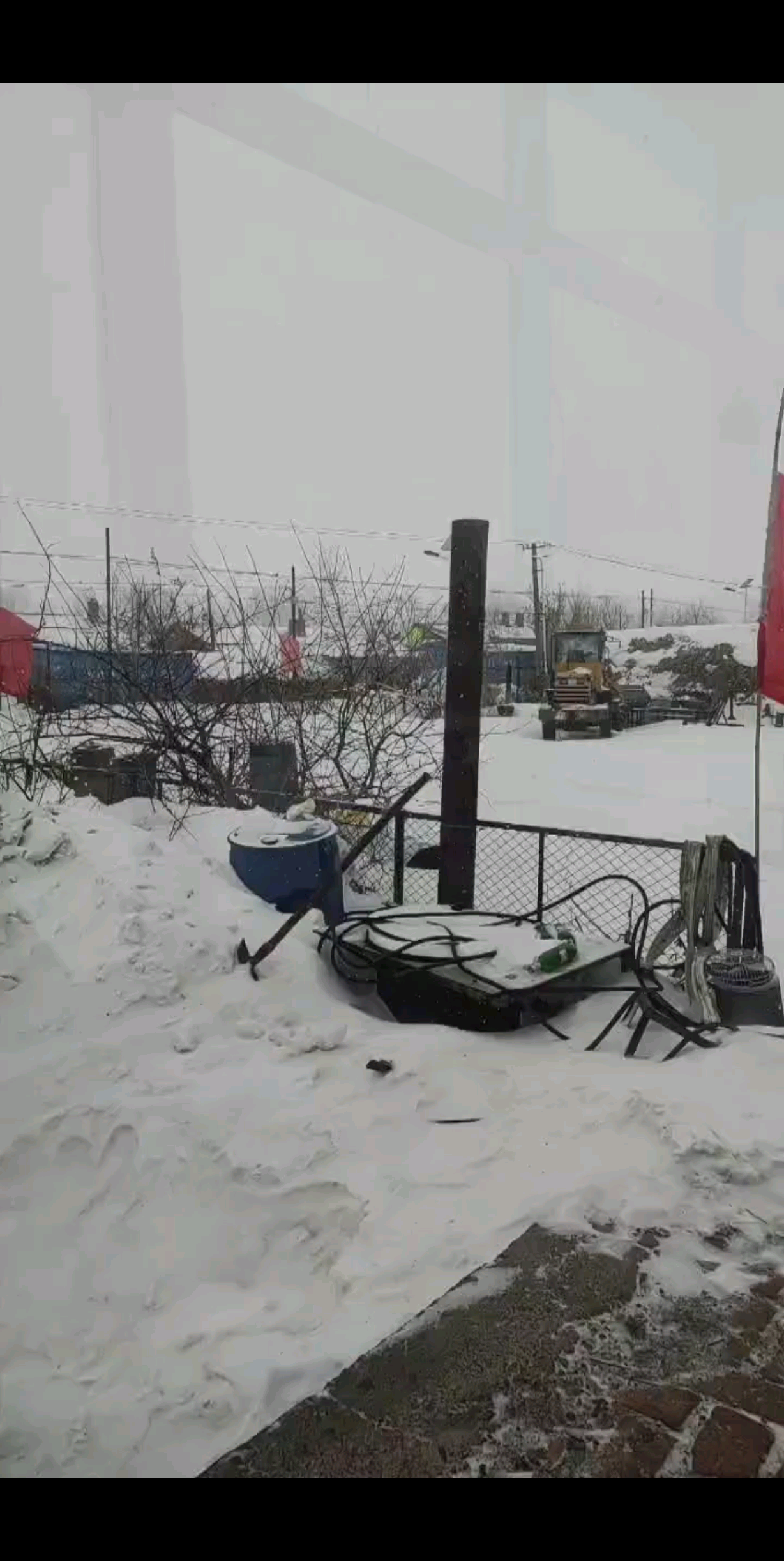 下雪的元宵节  无奈