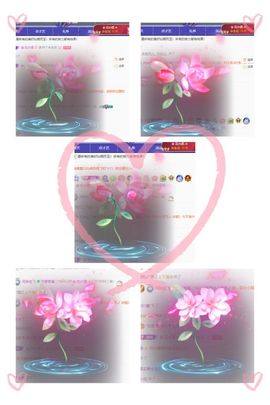 风铃在飞🍀守望幸福主播照片