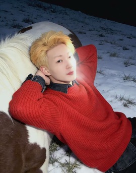 老贰新人求支持的图片