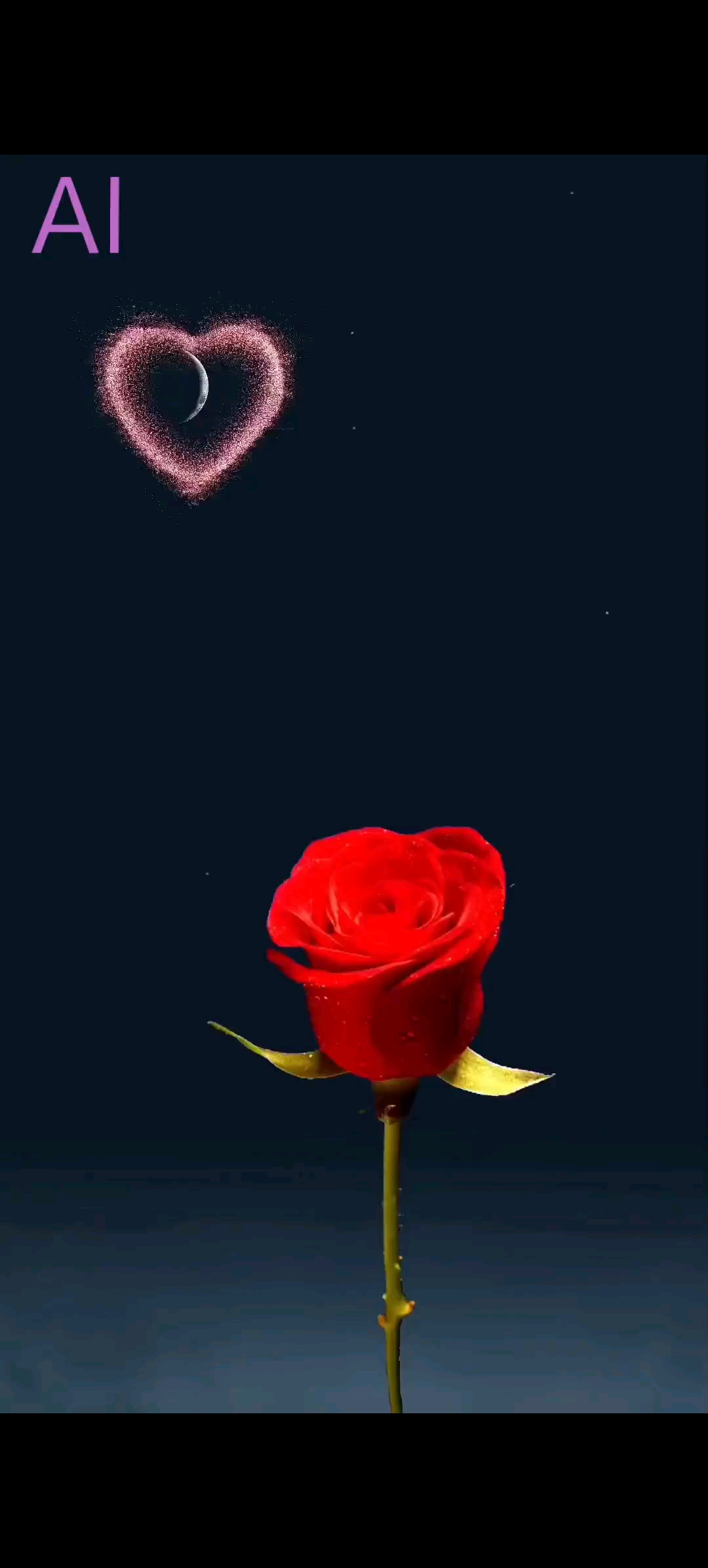 女神们，节日快乐.