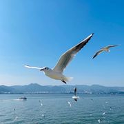 ✨人走茶凉。🌙