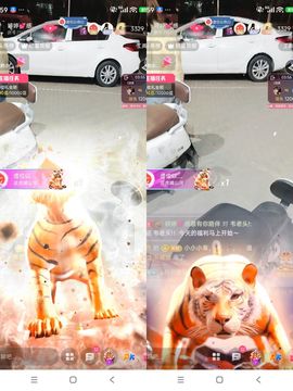 婷婷💕感恩有你陪伴的图片