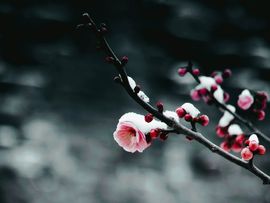 天王盖地虎虎044主播照片