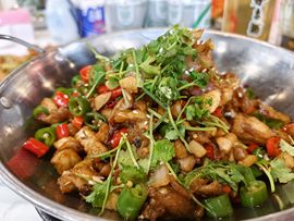 萌新宝宝fyu1c主播照片