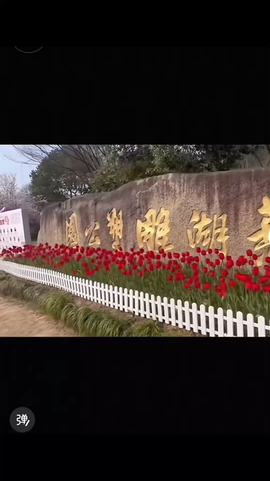 花海盛开，爱心成树，