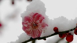 天王盖地虎虎044主播照片