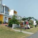 海浪，风大，浪高