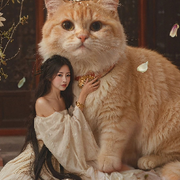 熹熹熹熹小师妹🌈