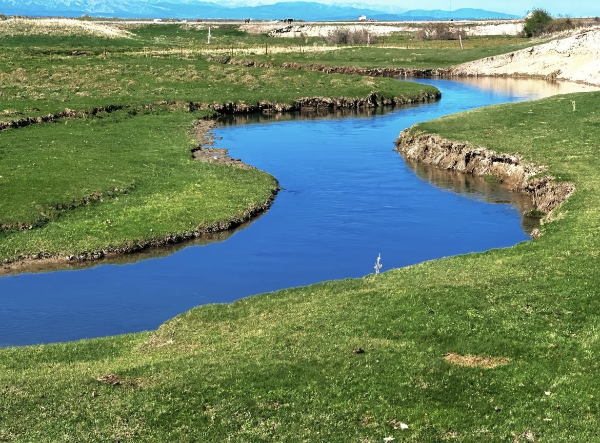 咩咩会做解析题的主播照片