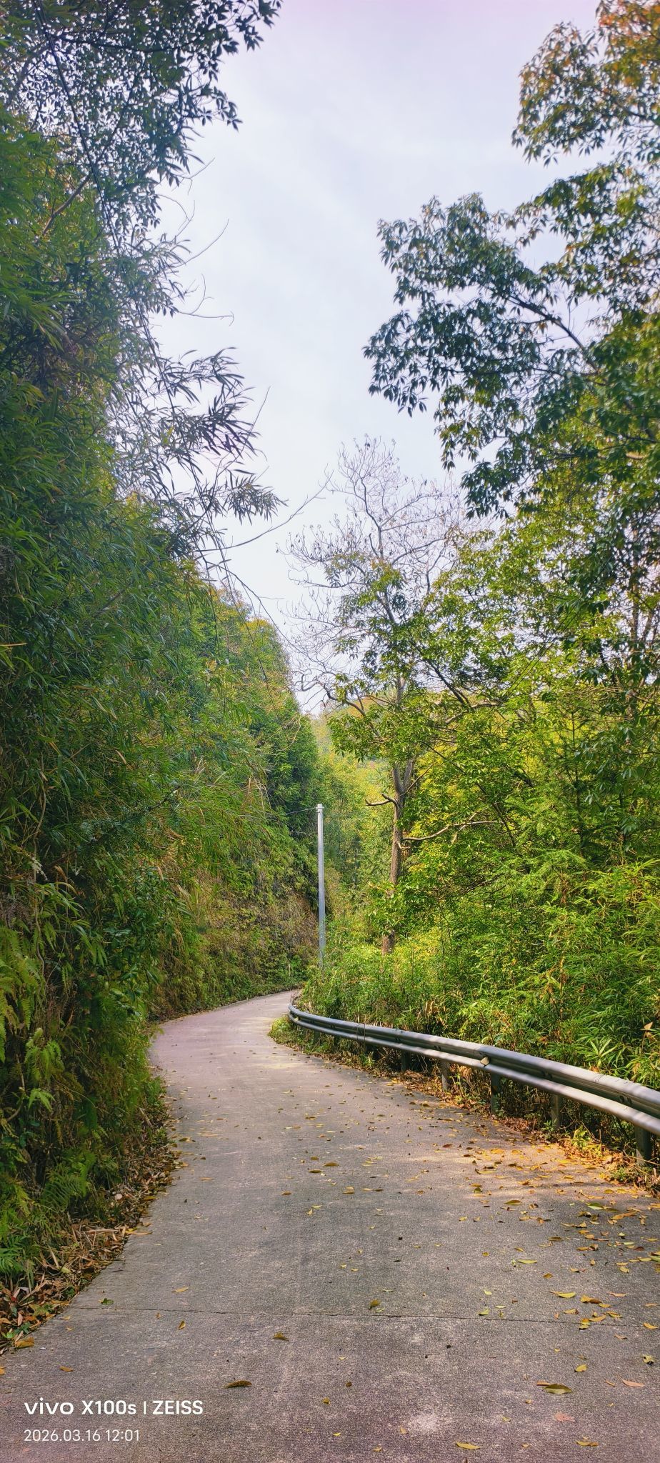 妞妞騎行興國縣主播圖片