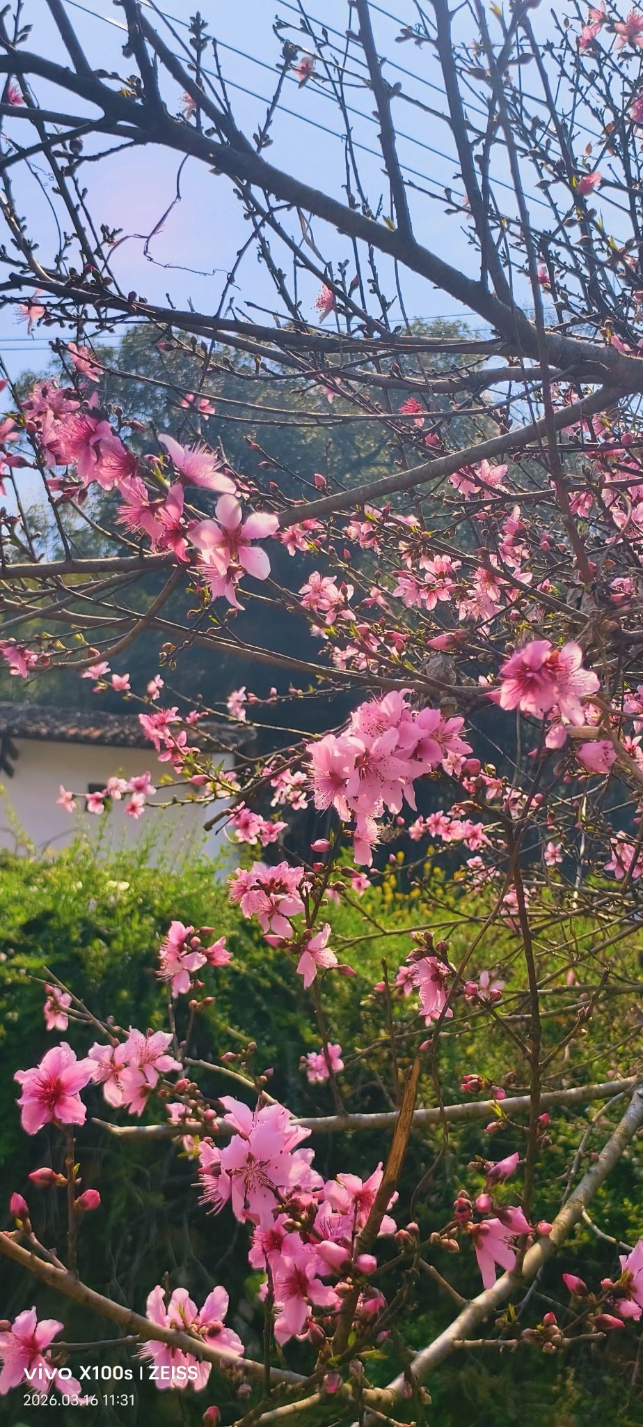 妞妞騎行興國縣主播圖片