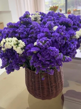 鸭鸭🐰主播照片