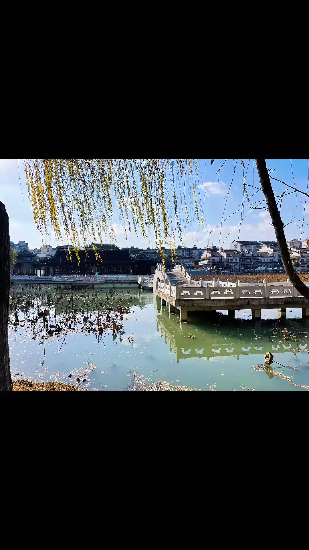 揚(yáng)州的早茶