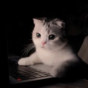 热门第88号悄悄的头像