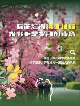 远方的过客🫧的图片