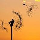 玖五贰柒hbo的头像