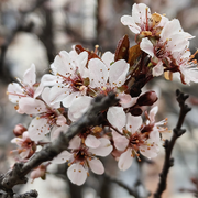 L⭐️ve乐逍遥的头像