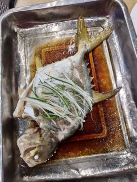 宝莉吖的图片