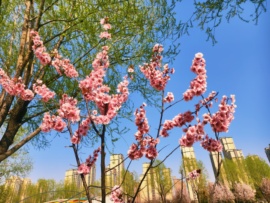 🌸诗语超爱上班主播照片