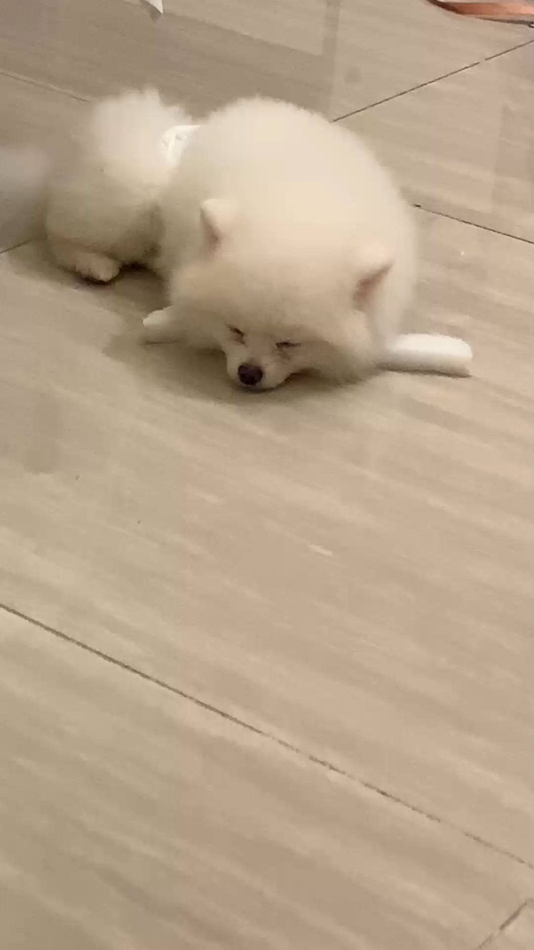 还知道自己叫什么