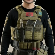 S飞翔的秃鹫的头像