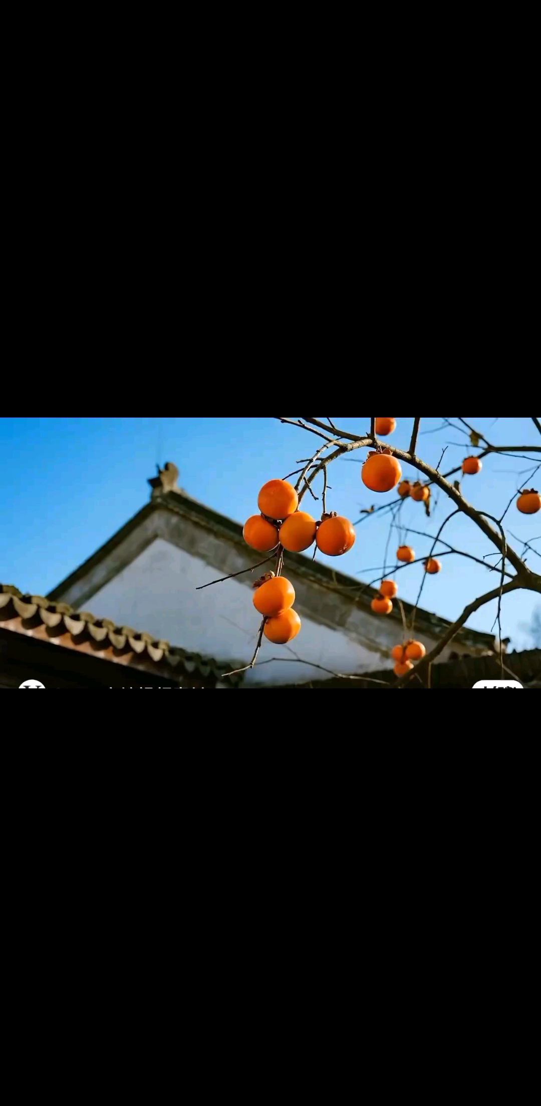哈哈哈