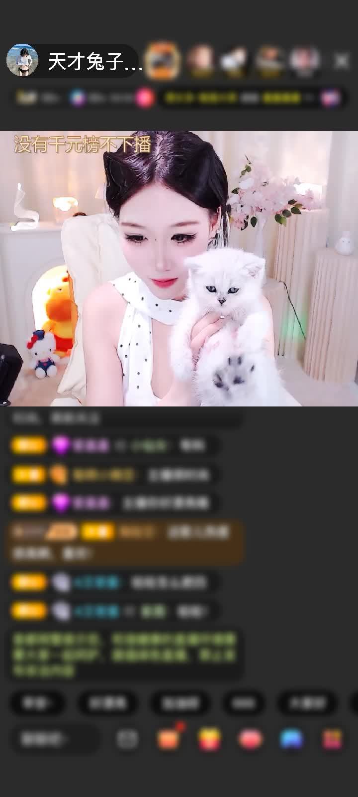 感謝筆芯?贈送浮生若夢1個