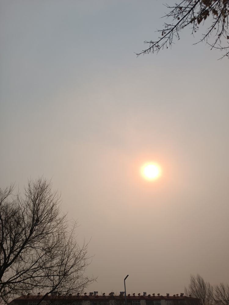 七格格👑军训队长的主播照片