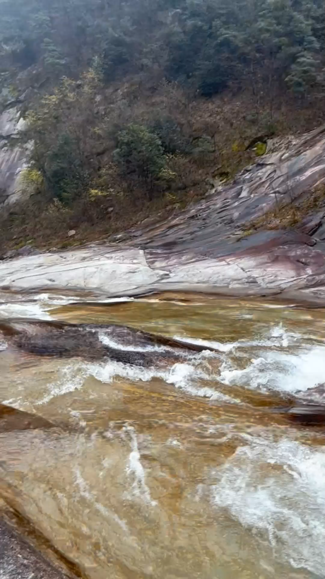 在属于自己的轨道上，