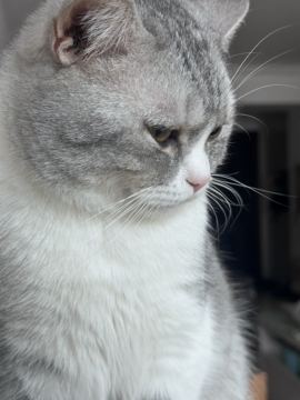 茶茶幸运星等你哦主播照片