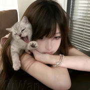 新人小茹~求守护