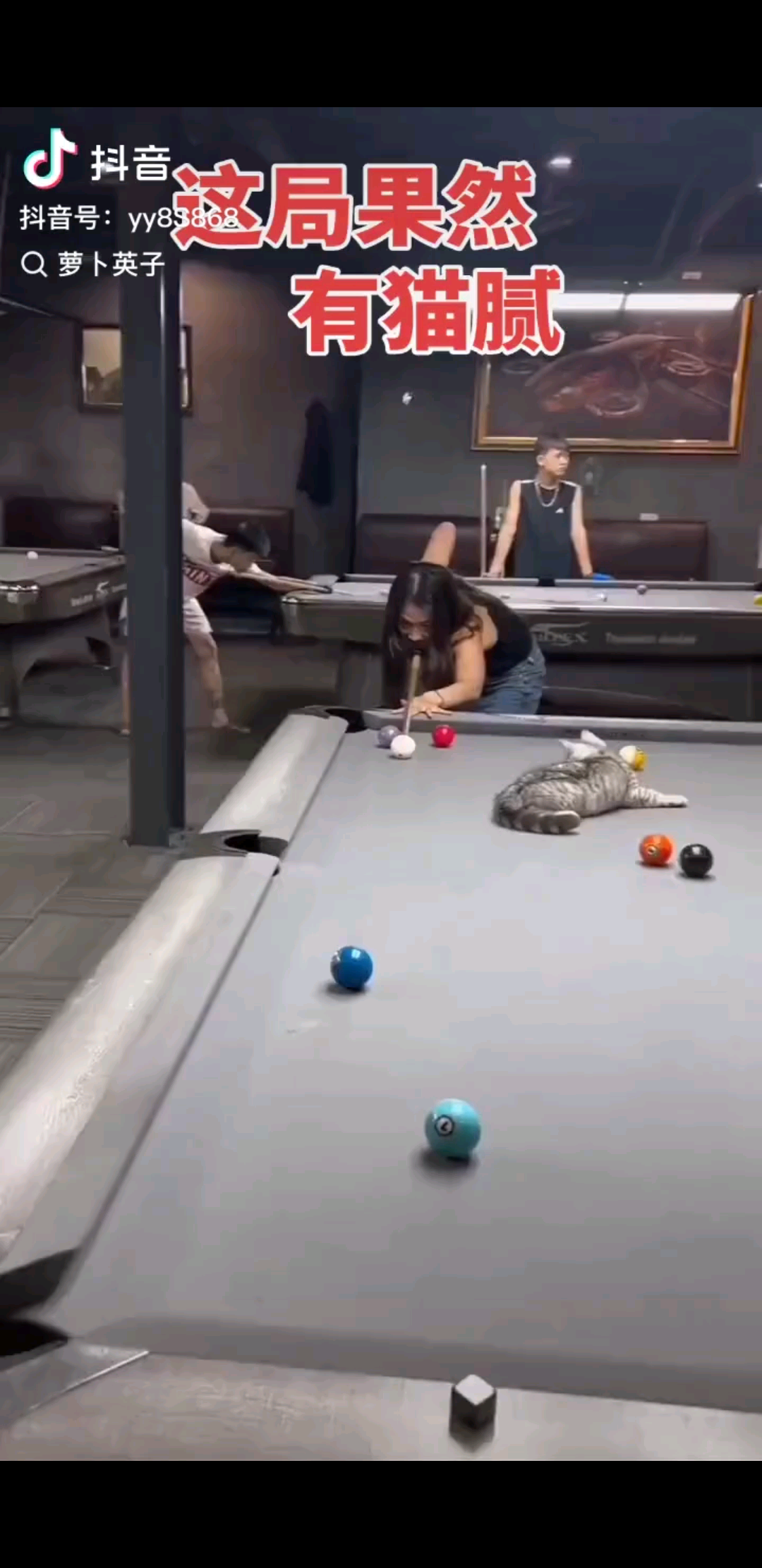 此局有猫腻
