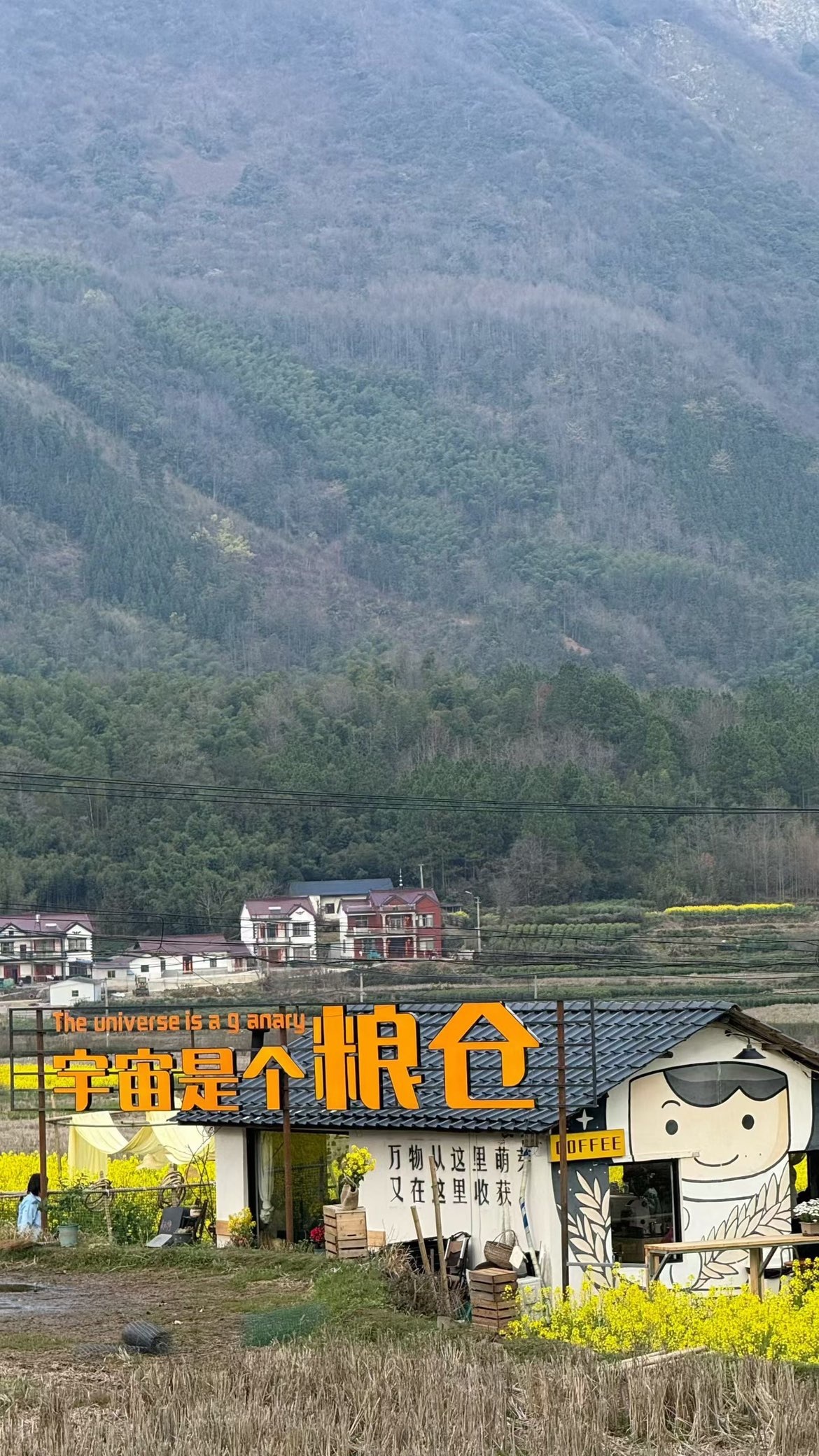 福多多！去捡瓶子了主播图片