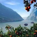 明天滴明天ysA的頭像