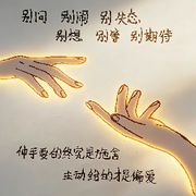 萌新寶寶9529的頭像