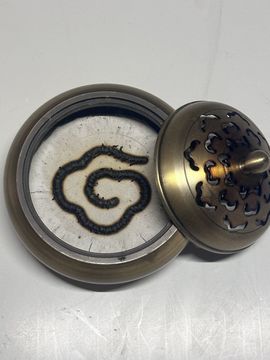 茶茶幸运星等你哦主播照片