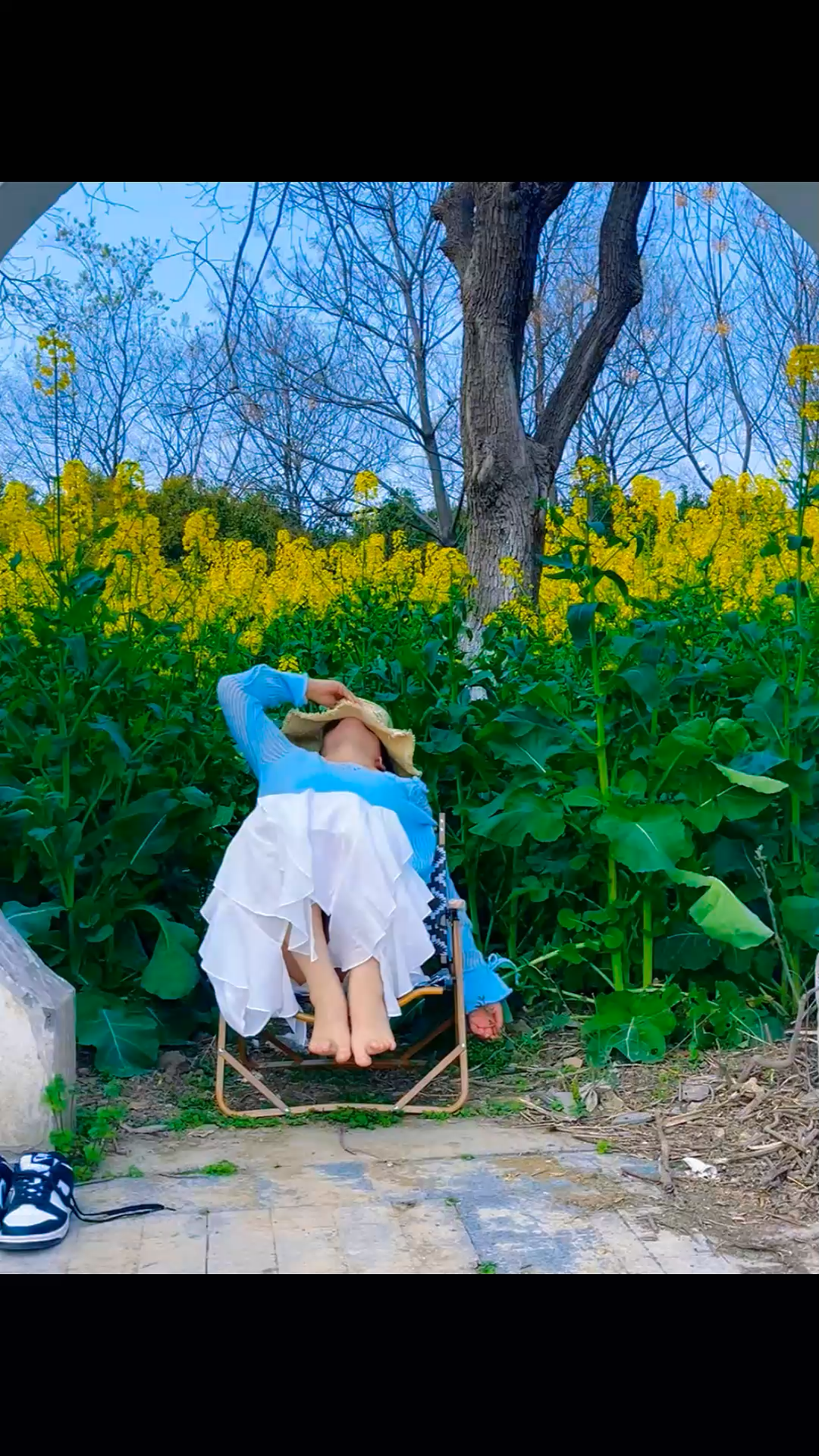 一朵花开，惊动了整个