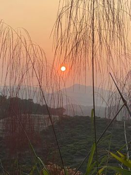 阿涛骑行分享风景！的图片
