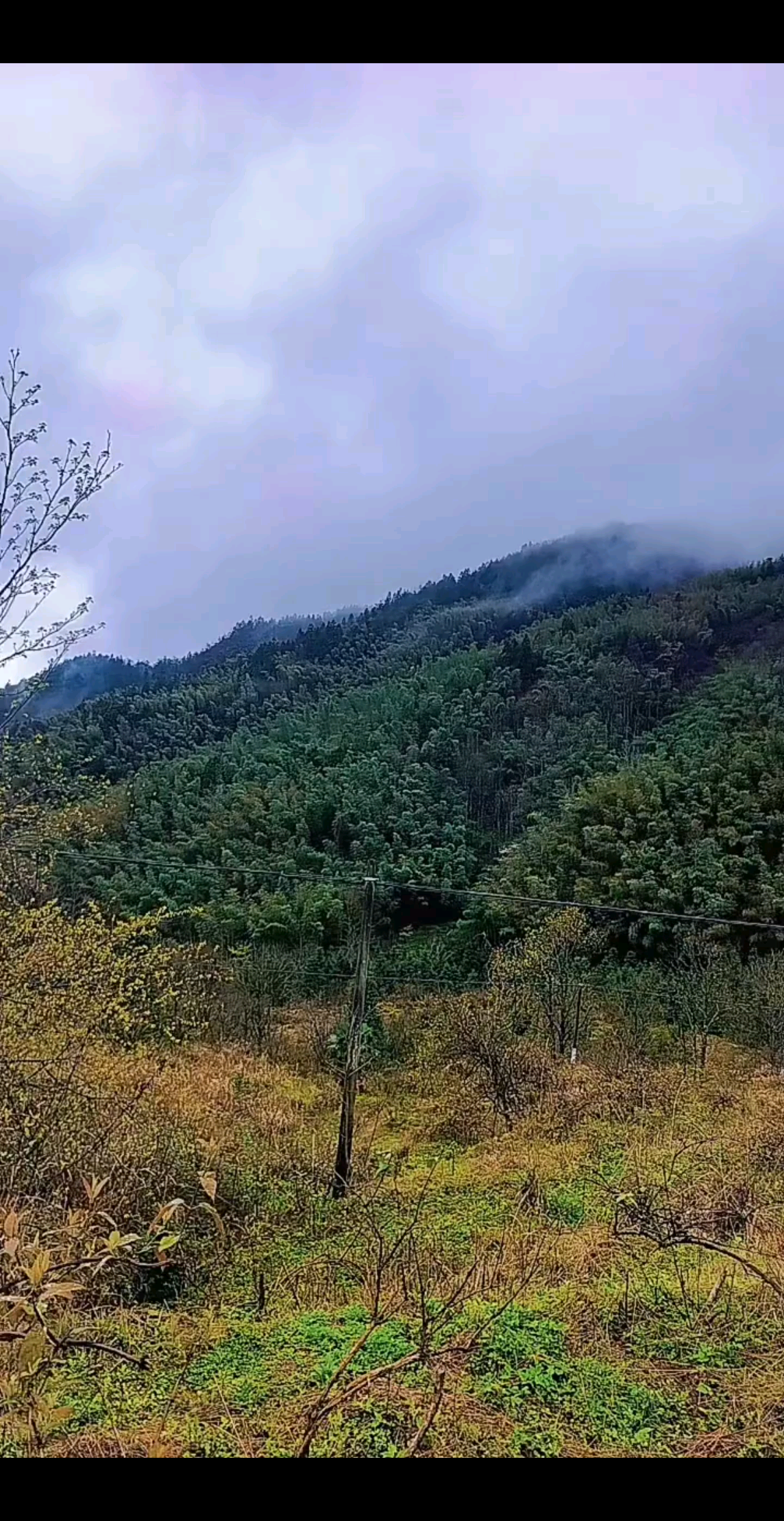 感谢所有哥哥姐姐们3